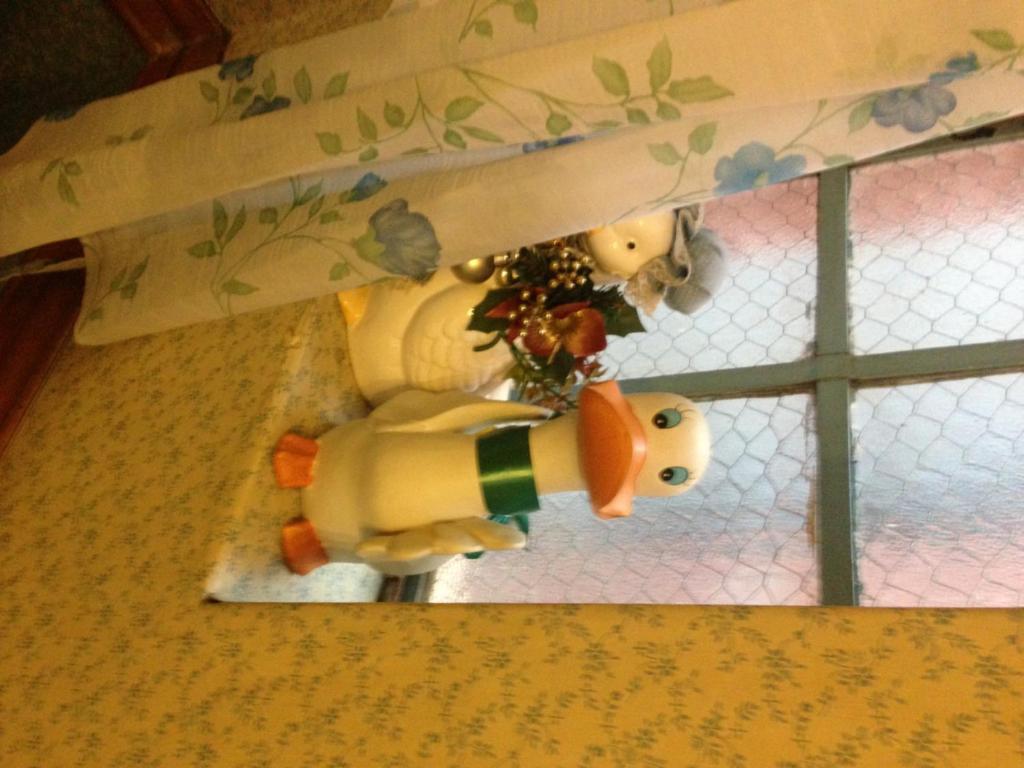 בריסביין Annie'S Shandon Inn מראה חיצוני תמונה